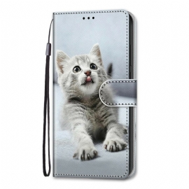 Κάλυμμα Samsung Galaxy S21 Plus 5G Οι Πιο Όμορφες Γάτες
